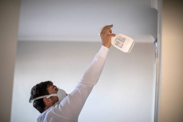 Best Mold Removal and Inspection  in Peoria, IL