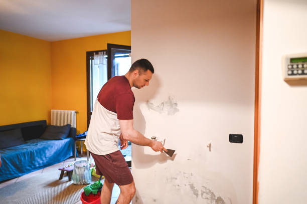 Best Mold Removal Near Me  in Peoria, IL